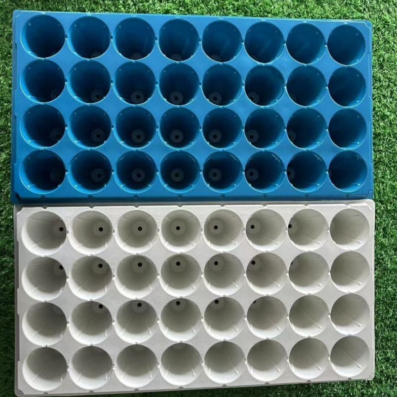 加深32孔林木草莓育苗盘白色蓝色现货充足