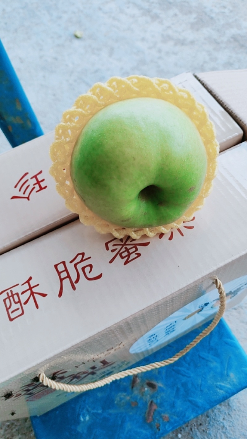 翠玉梨，酥脆一号，翠冠梨产地直供，保质保量诚信经营
