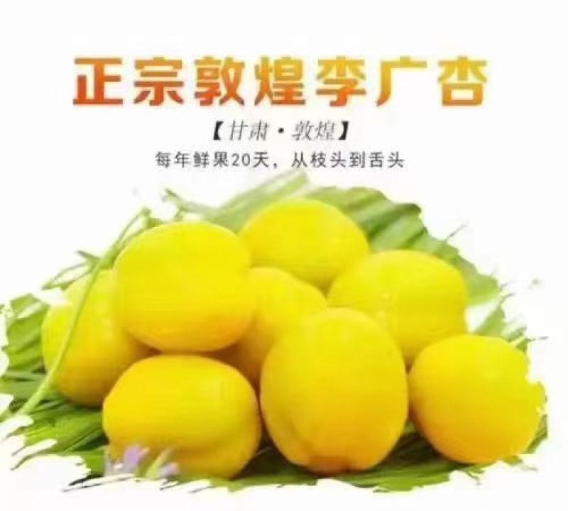 李广杏