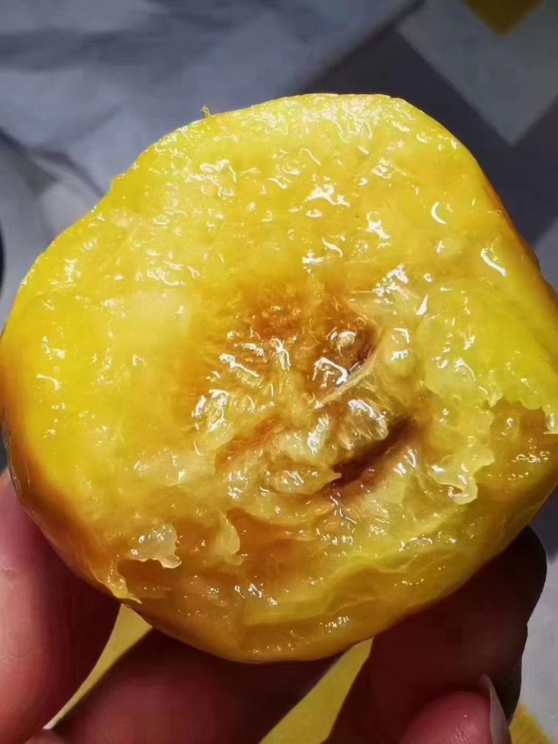 李广杏