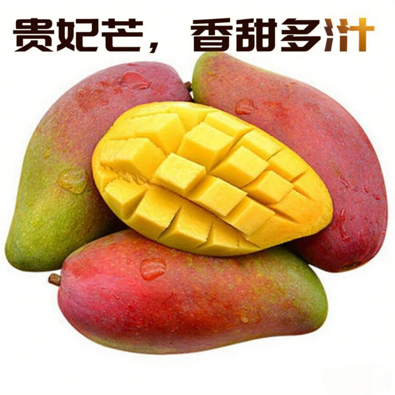 广西百色贵妃芒
