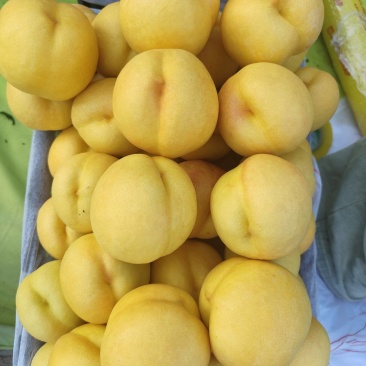 精品批发