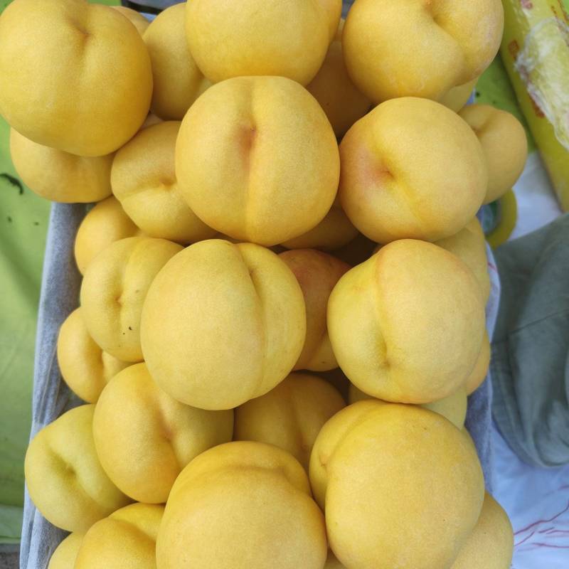 精品批发