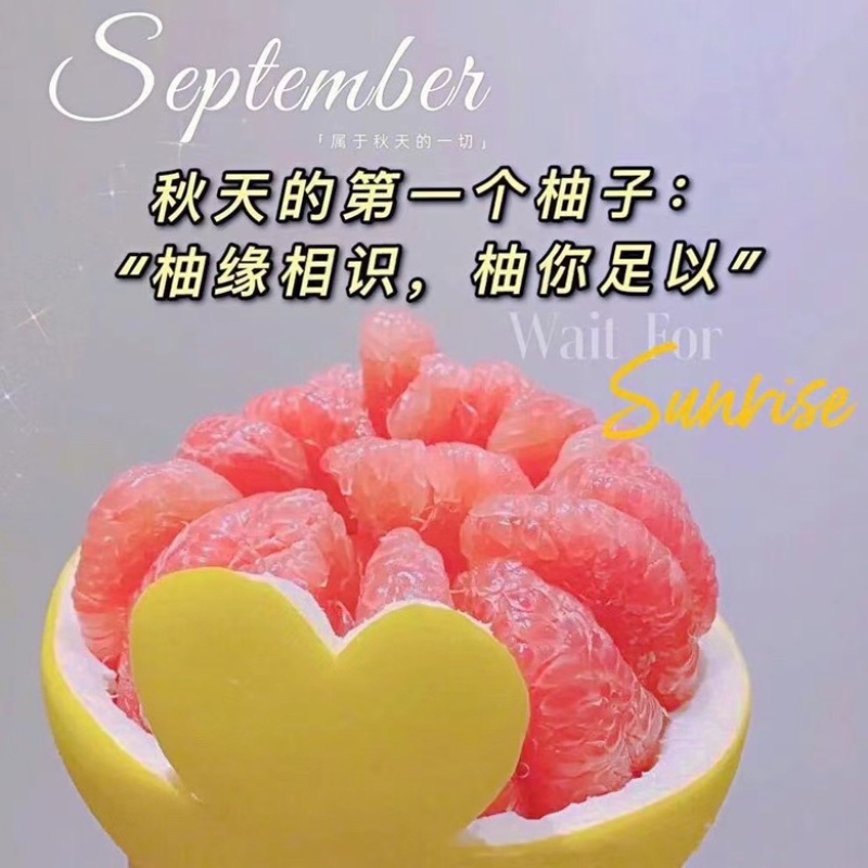 福建平和红心蜜柚
