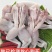 新鲜现杀牛蛙腿品质优可视频看货基地直供欢迎咨询