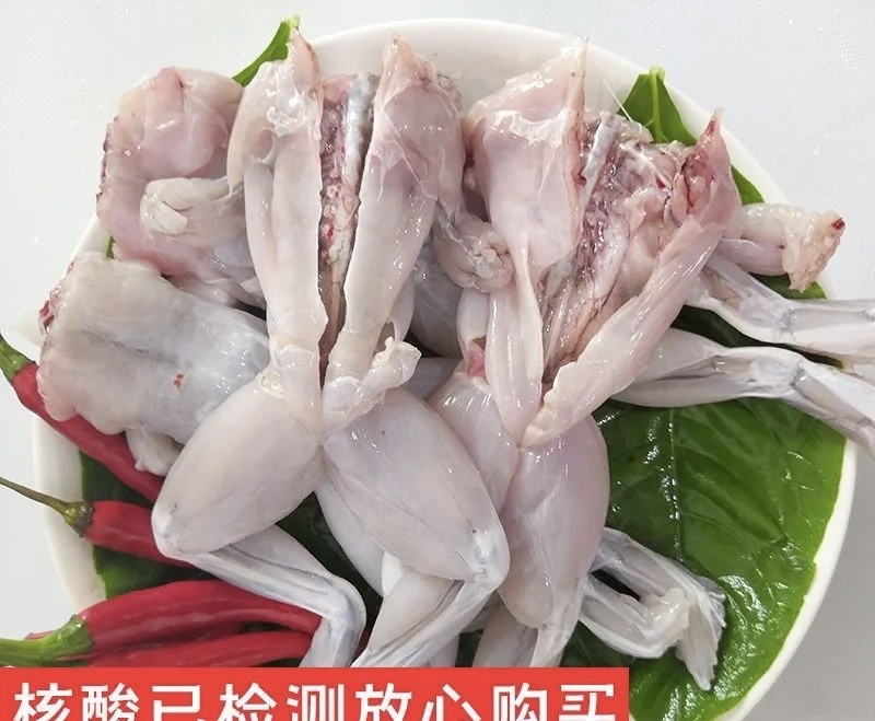 新鲜现杀牛蛙腿品质优可视频看货基地直供欢迎咨询