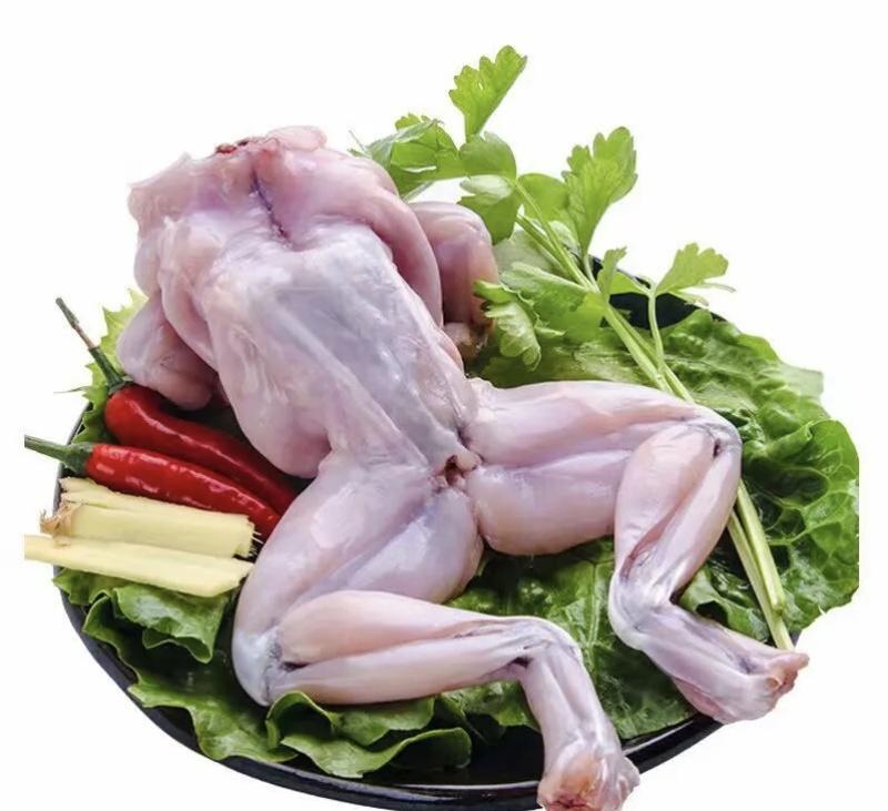 新鲜现杀牛蛙腿品质优可视频看货基地直供欢迎咨询