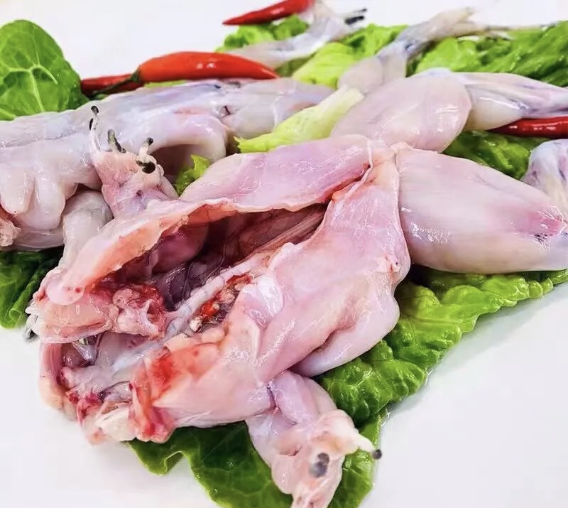 新鲜现杀牛蛙腿品质优可视频看货基地直供欢迎咨询