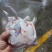 新鲜现杀牛蛙腿品质优可视频看货基地直供欢迎咨询