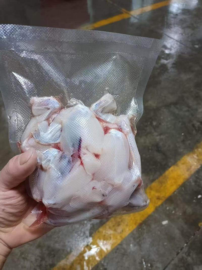 新鲜现杀牛蛙腿品质优可视频看货基地直供欢迎咨询