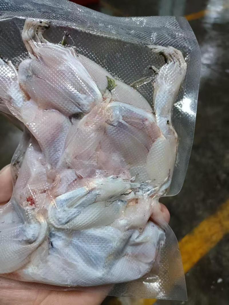 新鲜现杀牛蛙腿品质优可视频看货基地直供欢迎咨询