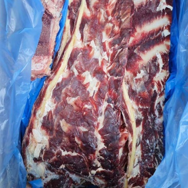 牛羽骨
