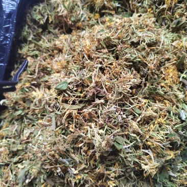 野生金银花，大山深处自然凉晒干货统货