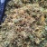 野生金银花，大山深处自然凉晒干货统货