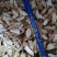 【平台推荐】仿野生牛大力干货精品无硫