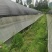 苔藓批发基地