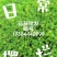 苔藓批发基地
