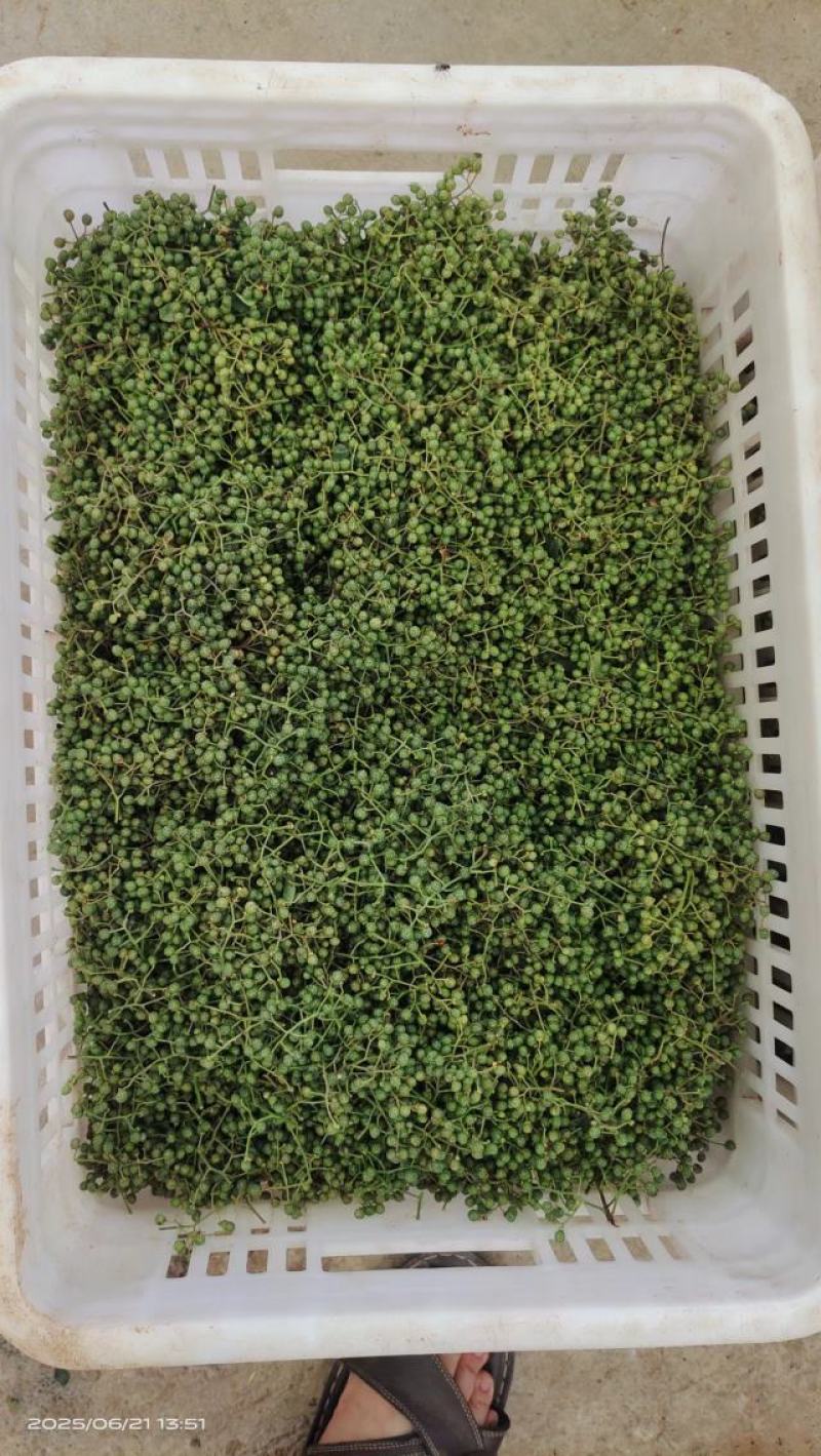 鲜花椒大量上市，产地直发，品质保证，服务周到，诚信经营