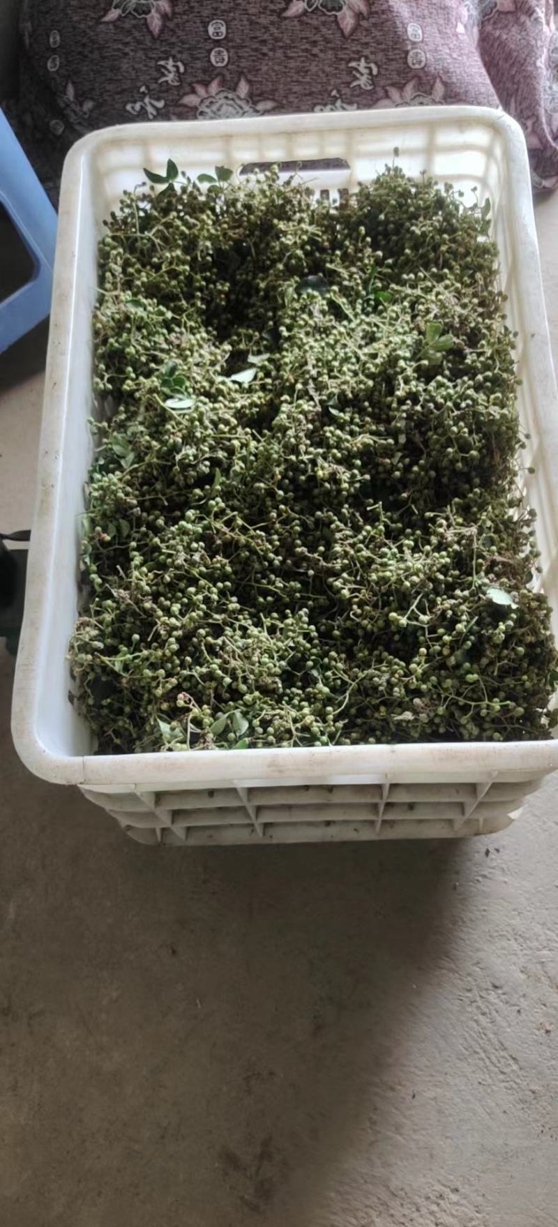 鲜花椒大量上市，产地直发，品质保证，服务周到，诚信经营