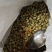 青豆笋丝临安特产十分美味
