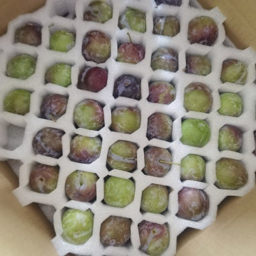 半边红一件大发