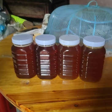 土蜂蜜，自己家里的蜜蜂采的花蜜，***。