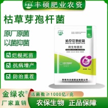 枯草芽孢杆菌防止重茬抗病增产