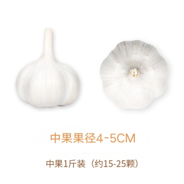 山东兰陵大蒜白蒜