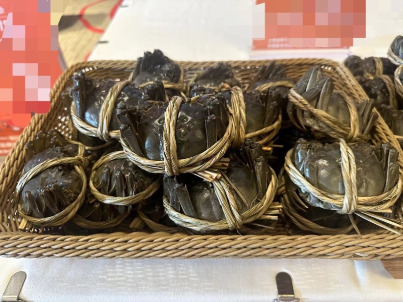 精品六月黄大闸蟹现货打捞鲜活足斤足两特别肥