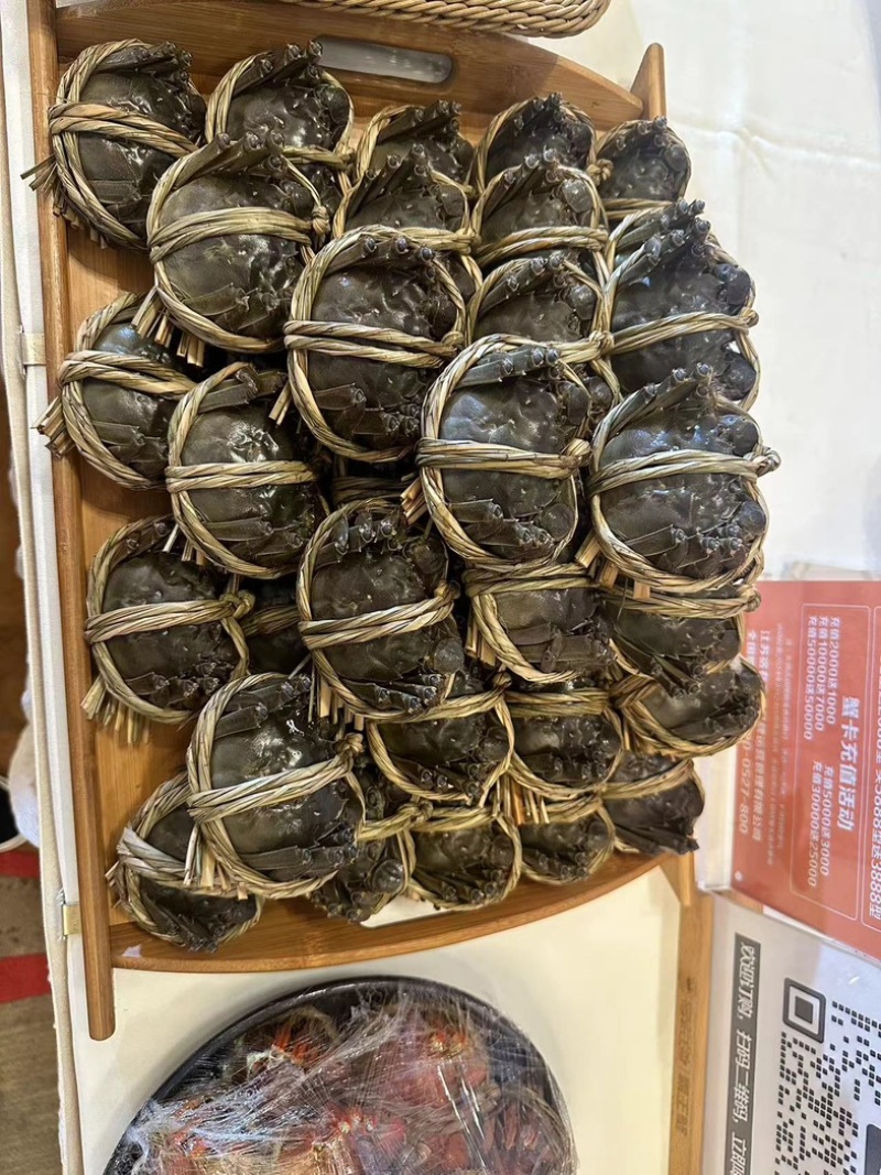 精品六月黄大闸蟹现货打捞鲜活足斤足两特别肥