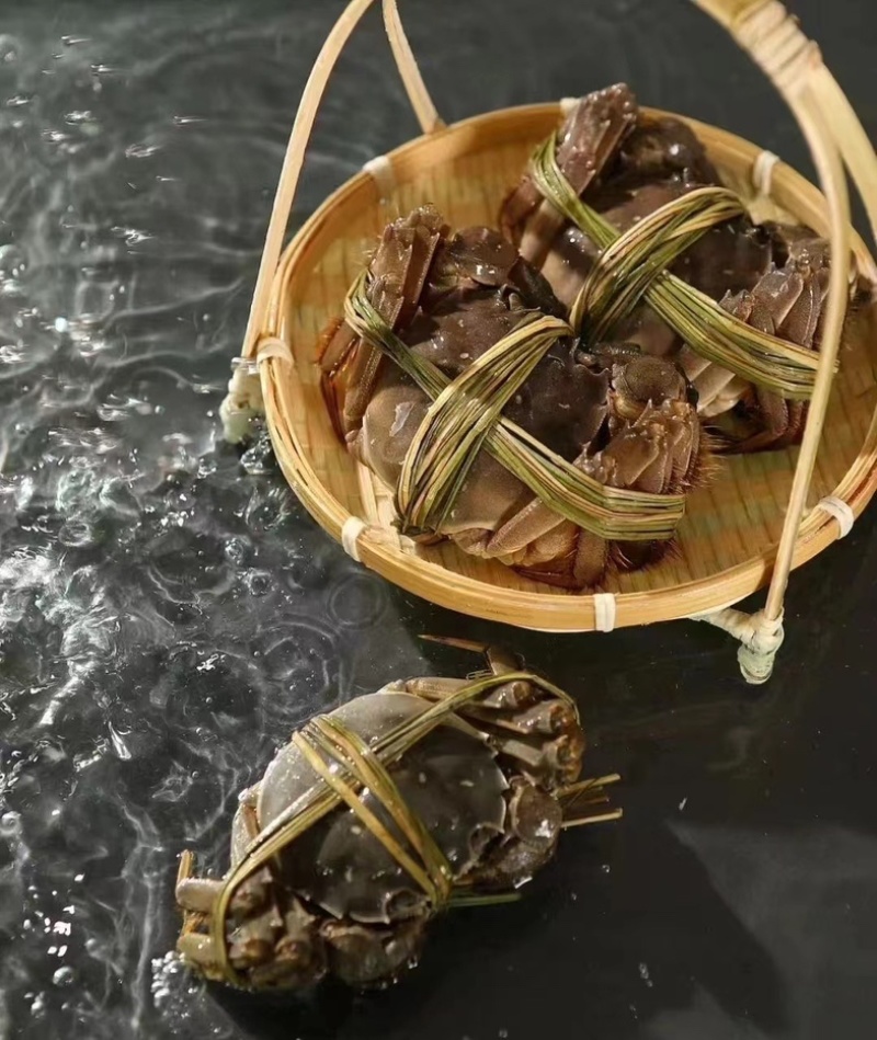 精品六月黄大闸蟹现货打捞鲜活足斤足两特别肥