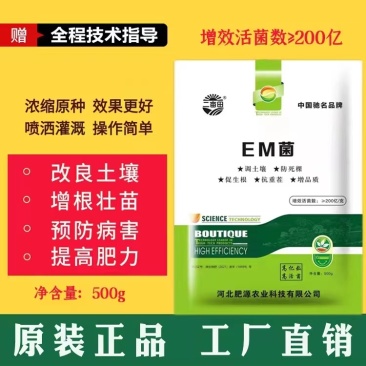 EM菌改良土壤预防病害