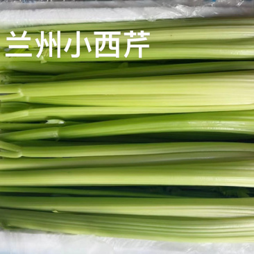 兰州小西芹