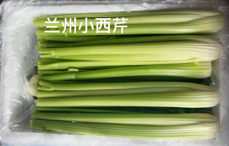 兰州小西芹