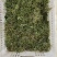 鲜花椒大量上市，产地直发，品质保证，服务周到，诚信经营