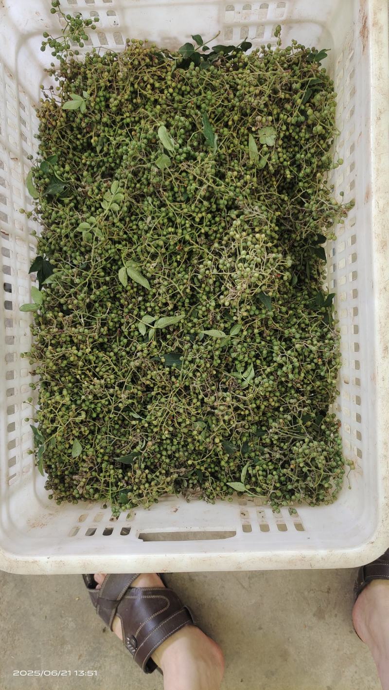 鲜花椒大量上市，产地直发，品质保证，服务周到，诚信经营