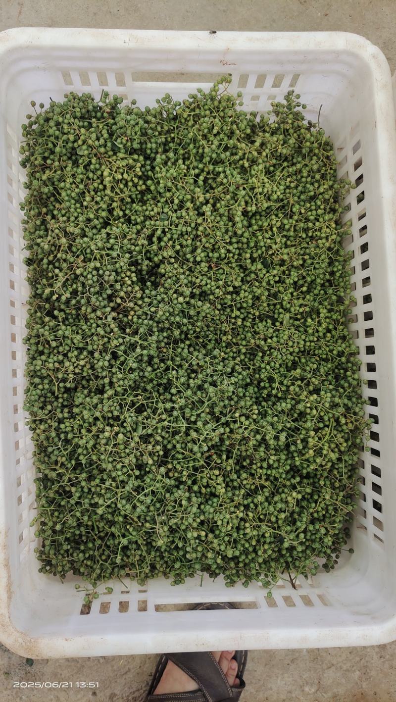 鲜花椒大量上市，产地直发，品质保证，服务周到，诚信经营
