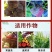 腐霉泰克根腐专用黄叶烂叶专用肥料科技正品有机通用型强效
