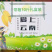 保山金煌芒带箱10斤装一级果一件代发