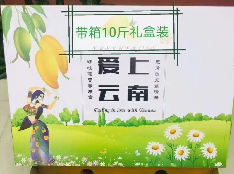 保山金煌芒带箱10斤装一级果一件代发