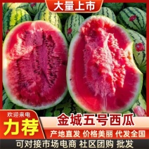 金城5号西瓜宁夏精品货源充足价格可谈欢迎电联