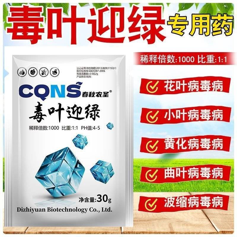 毒叶迎绿病毒病专用辣椒黄瓜西红柿番茄蔬菜花叶小叶卷叶黄叶