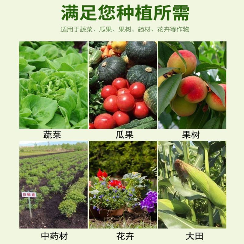 毒叶迎绿病毒病专用辣椒黄瓜西红柿番茄蔬菜花叶小叶卷叶黄叶