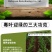 毒叶迎绿病毒病专用辣椒黄瓜西红柿番茄蔬菜花叶小叶卷叶黄叶