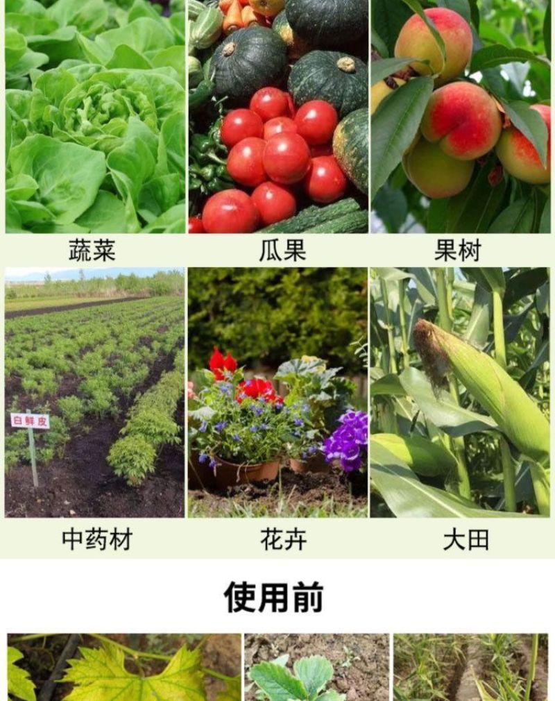 毒叶迎绿病毒病专用辣椒黄瓜西红柿番茄蔬菜花叶小叶卷叶黄叶