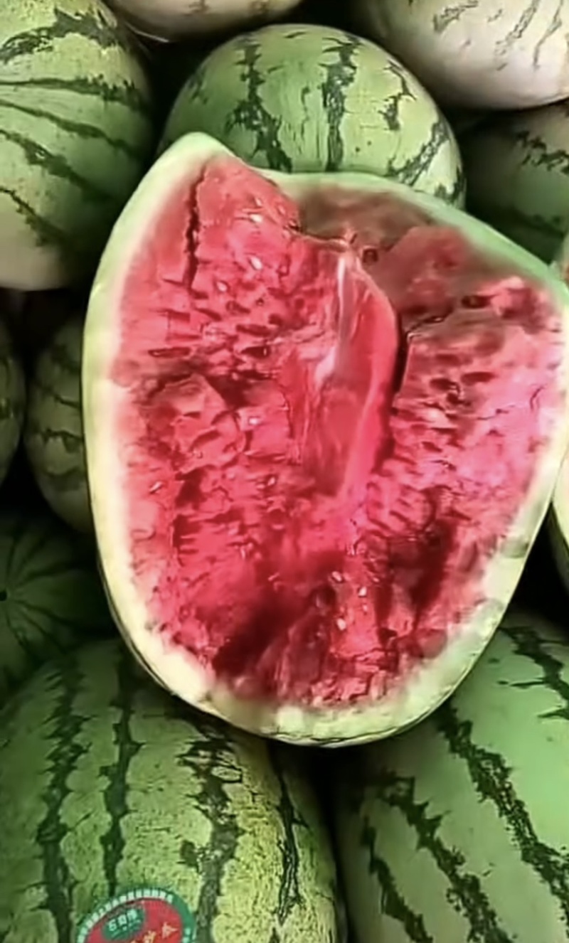 宁夏硒砂瓜
