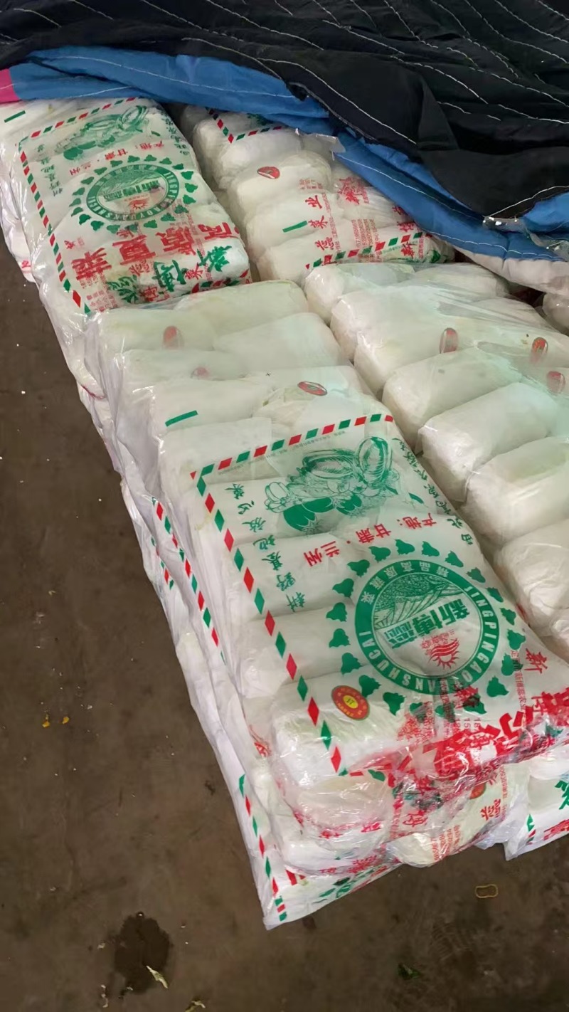 【优质】甘肃定西娃娃菜货源充足/精品大娃娃菜小娃娃菜