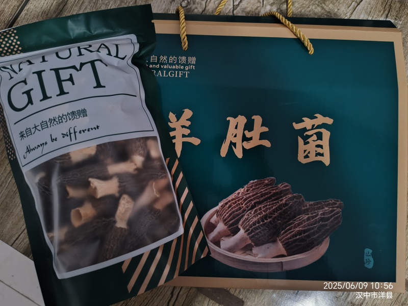 羊肚菌头茬
