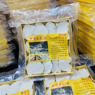 虎乳菌虎乳菇自产自销大量现货半斤装一件40盒价优
