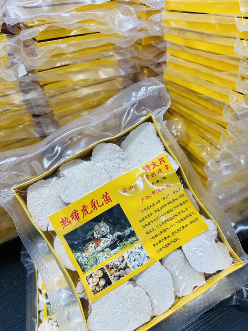 虎乳菌虎乳菇自产自销大量现货半斤装一件40盒价优